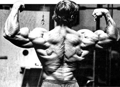 Here's a sample BACK DAY in our NEW Pure Label Training Programs (COMING SOON)